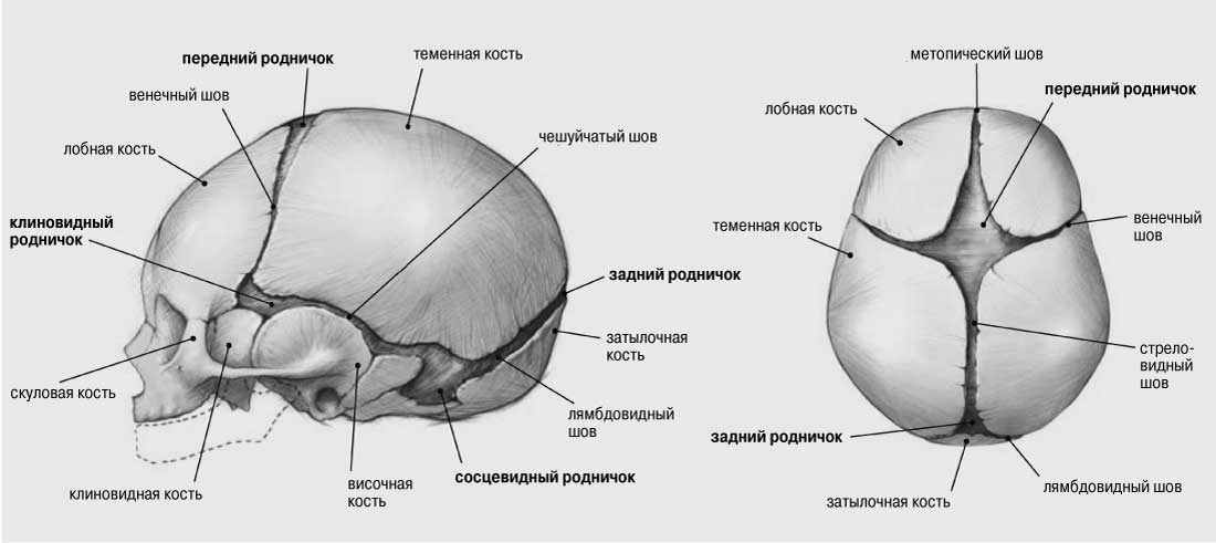 Устранение краниостеноза. Случай из практики специалистов НПЦ